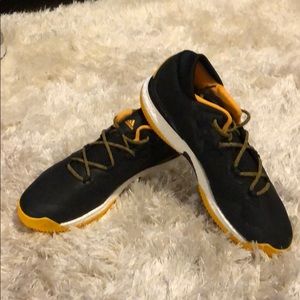 Adidas Crazy Light Boost Low 2016